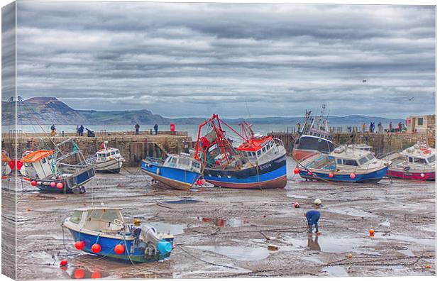  Low Tide at Lyme. Canvas Print by Mark Godden