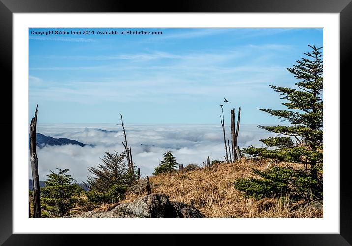  Above The Clouds Framed Mounted Print by Alex Inch