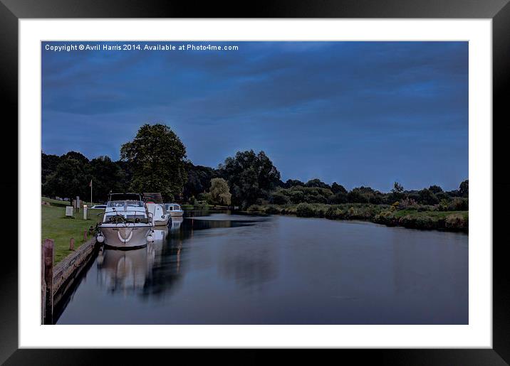  River Bure Coltishall at twilight Framed Mounted Print by Avril Harris