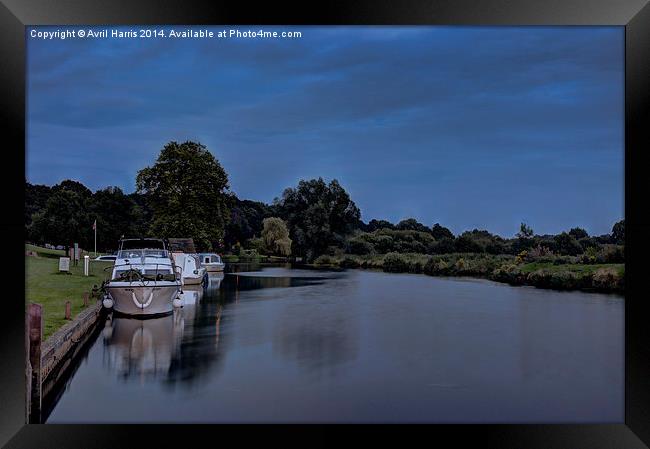  River Bure Coltishall at twilight Framed Print by Avril Harris