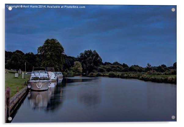  River Bure Coltishall at twilight Acrylic by Avril Harris