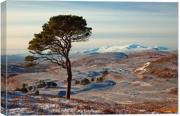  Winter in Strathglass Canvas Print by Macrae Images