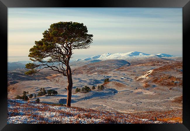  Winter in Strathglass Framed Print by Macrae Images