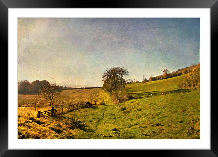  Into the Distance Framed Mounted Print by Dawn Cox