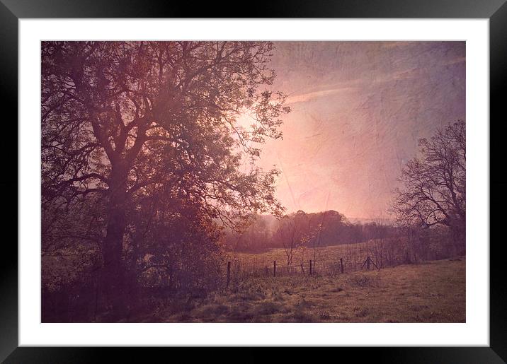 Morning Break  Framed Mounted Print by Dawn Cox