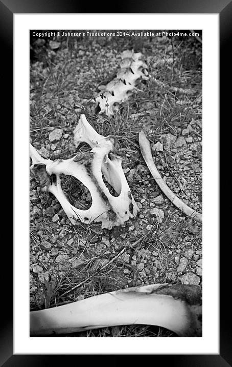  Bones Framed Mounted Print by Johnson's Productions