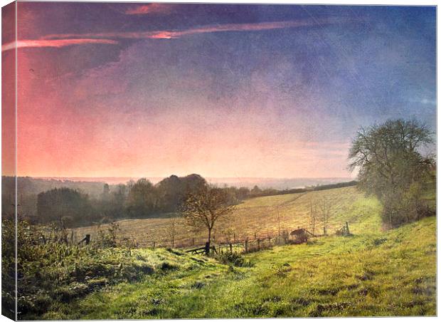 Pink Skies  Canvas Print by Dawn Cox