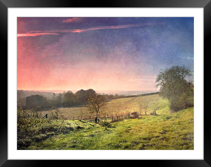 Pink Skies  Framed Mounted Print by Dawn Cox