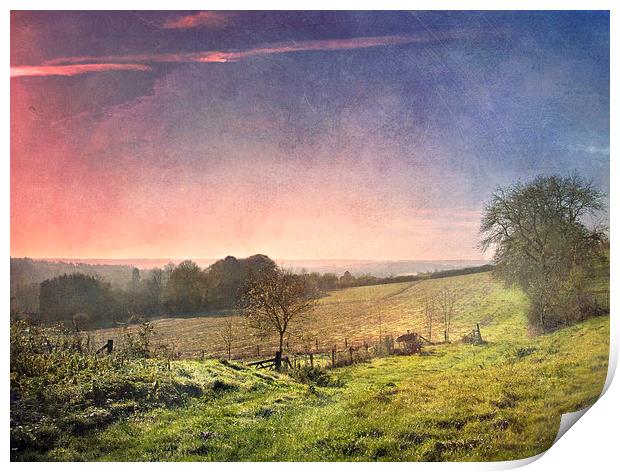 Pink Skies  Print by Dawn Cox