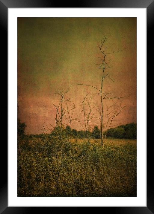 Lost in the meadow Framed Mounted Print by Piotr Tyminski