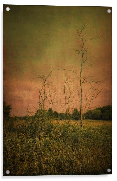 Lost in the meadow Acrylic by Piotr Tyminski