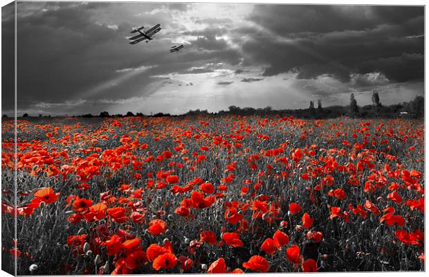 The final sortie WWI version selective colour vers Canvas Print by Gary Eason