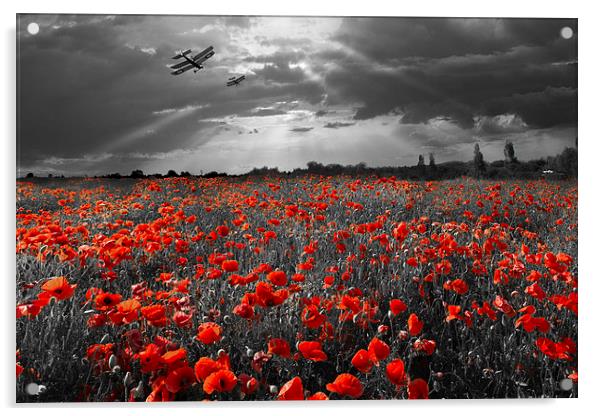 The final sortie WWI version selective colour vers Acrylic by Gary Eason