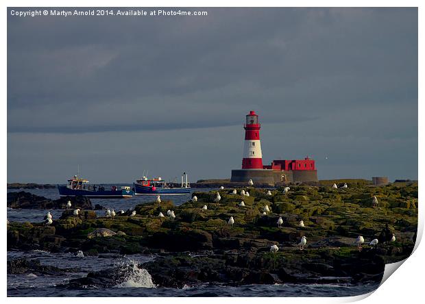  Longstone Lighthouse, boats & birds Farne Islands Print by Martyn Arnold