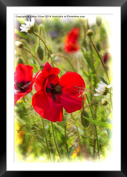 In The Garden Framed Mounted Print by Eddie Oliver