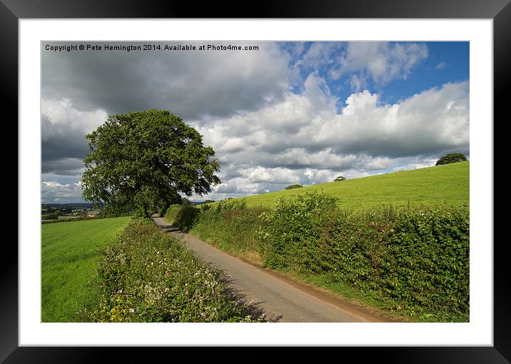  Rural Devon lane Framed Mounted Print by Pete Hemington