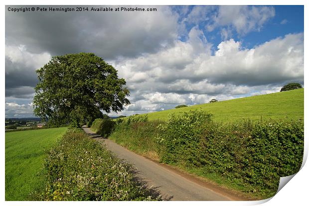 Rural Devon lane Print by Pete Hemington