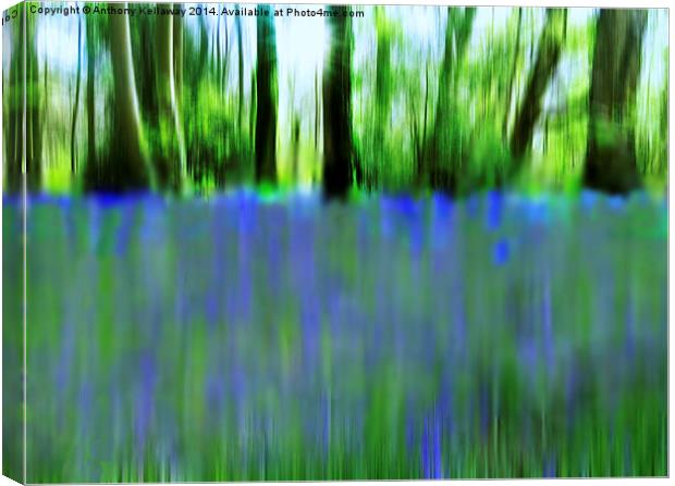  BLUEBELL ABSTRACT Canvas Print by Anthony Kellaway