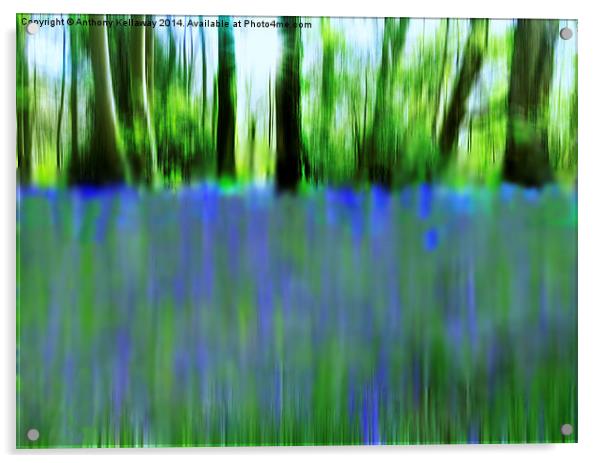  BLUEBELL ABSTRACT Acrylic by Anthony Kellaway