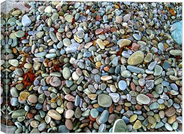Beach Pebbles Canvas Print by Paul Williams