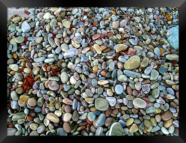 Beach Pebbles Framed Print by Paul Williams