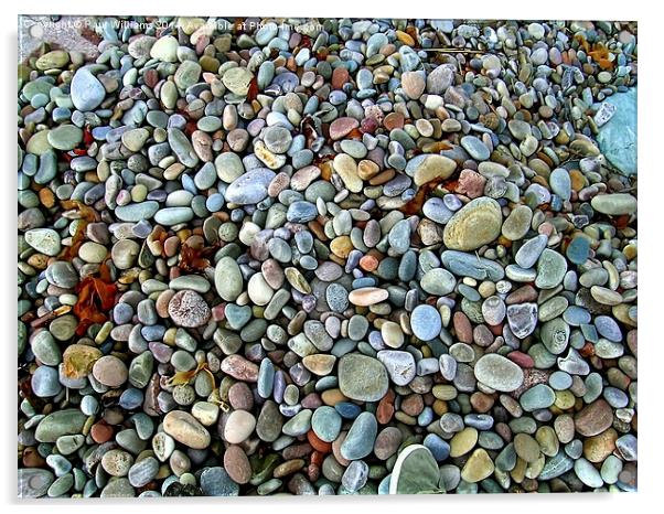 Beach Pebbles Acrylic by Paul Williams