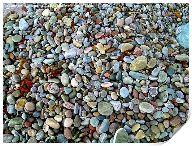 Beach Pebbles Print by Paul Williams