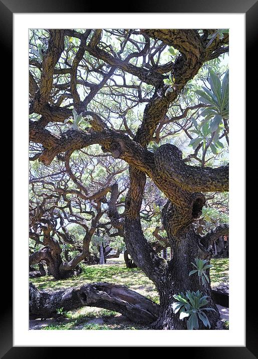   In the Depth of Enchanting Forest. Vertical  Framed Mounted Print by Jenny Rainbow
