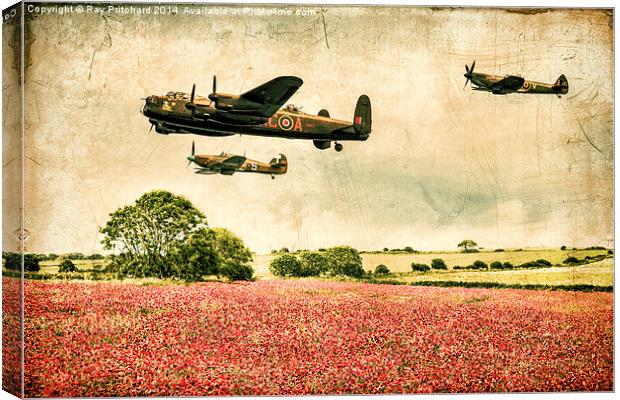 Battle of Britain Memorial Flight Over Poppies Canvas Print by Ray Pritchard
