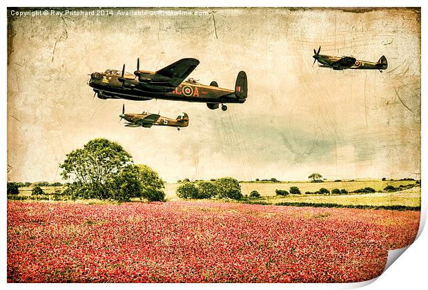 Battle of Britain Memorial Flight Over Poppies Print by Ray Pritchard