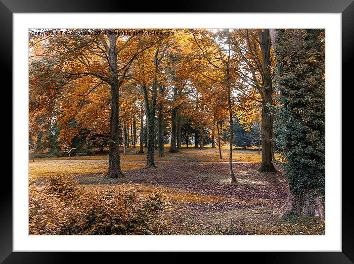 Autumn in the Woods Framed Mounted Print by Trevor Kersley RIP