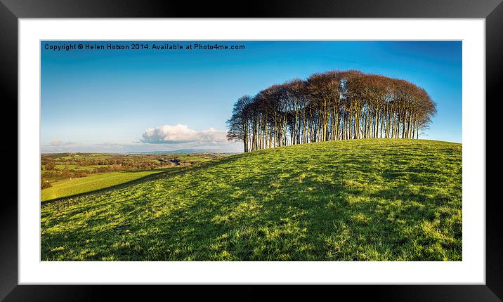 Stand of Beech Trees Framed Mounted Print by Helen Hotson