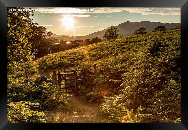  Walking down to Crummock Water as the sun fades. Framed Print by Stuart Gennery