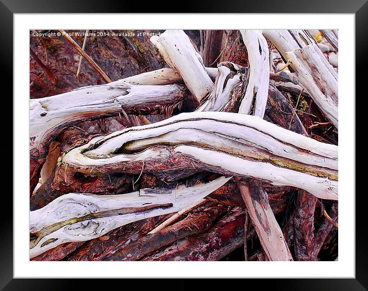  Driftwood Framed Mounted Print by Paul Williams