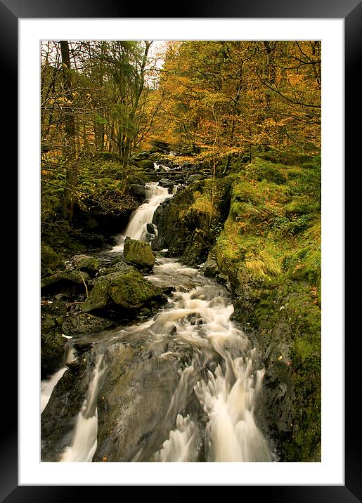  Dob Gill waterfall Framed Mounted Print by Jacqi Elmslie
