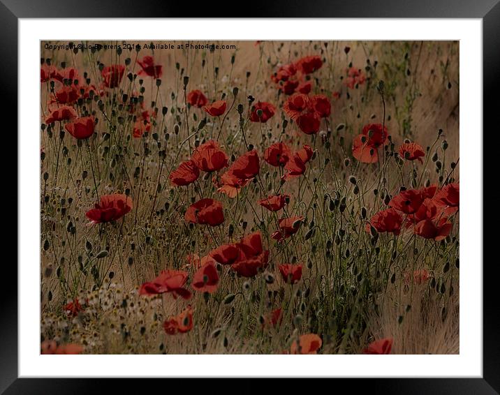 poppy field without planes Framed Mounted Print by Jo Beerens