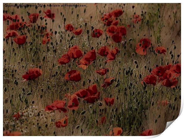 poppy field without planes Print by Jo Beerens