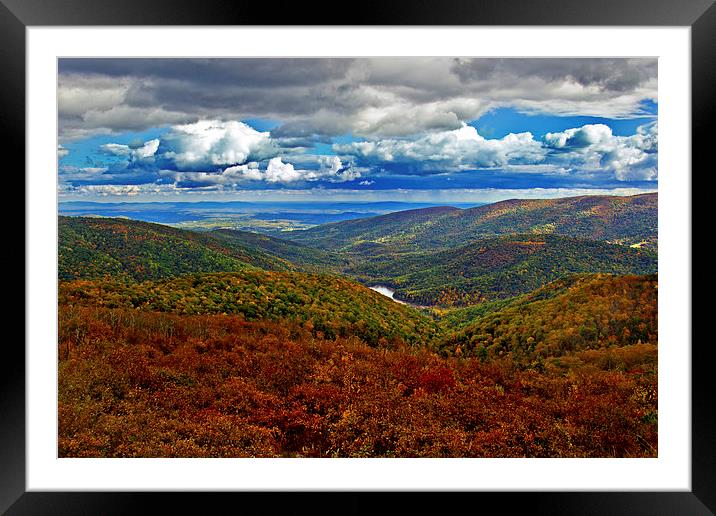 Autumn In Shenandoah Park  Framed Mounted Print by Tom and Dawn Gari