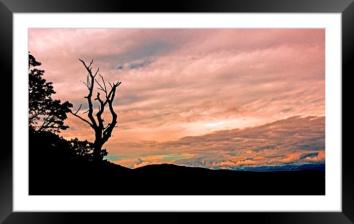  Blue Ridge Mountain Sunrise Panoramic  Framed Mounted Print by Tom and Dawn Gari
