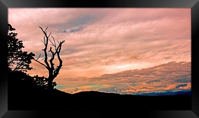  Blue Ridge Mountain Sunrise Panoramic  Framed Print by Tom and Dawn Gari
