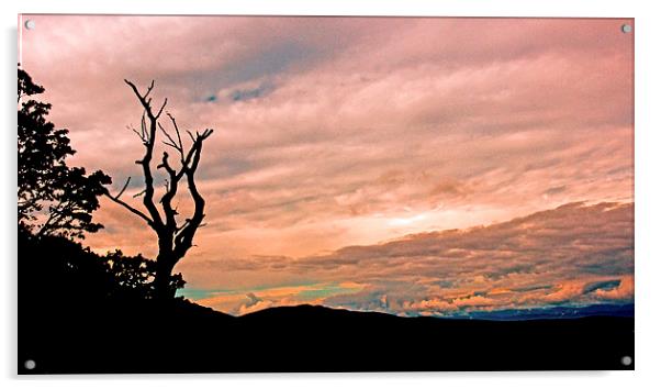  Blue Ridge Mountain Sunrise Panoramic  Acrylic by Tom and Dawn Gari