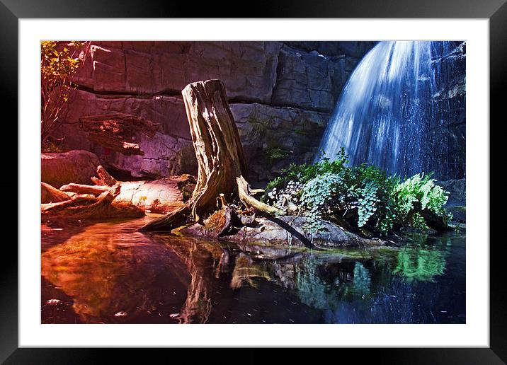  Scenic Waterfall Framed Mounted Print by Tom and Dawn Gari