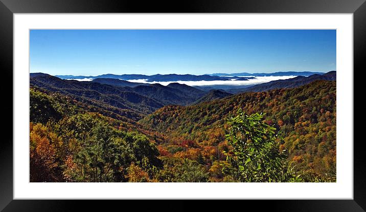  Smokey Mountain Panoramic Framed Mounted Print by Tom and Dawn Gari