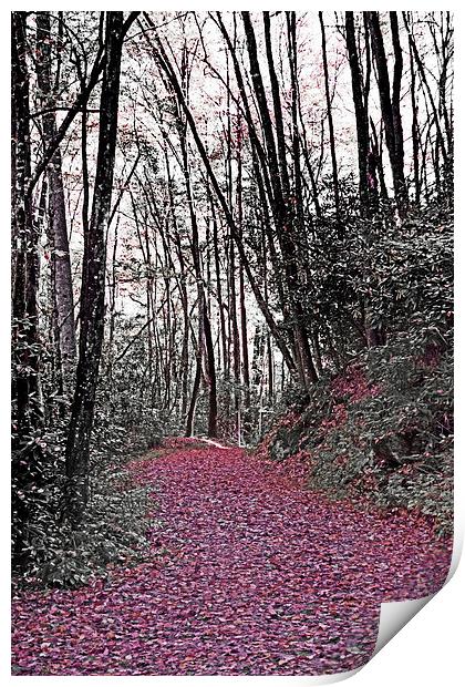 Red Leaves Of Fall  Print by Tom and Dawn Gari