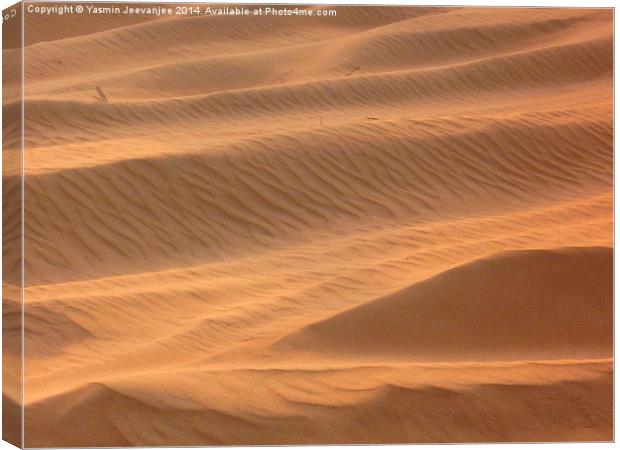 Dunes  Canvas Print by Yasmin Jeevanjee