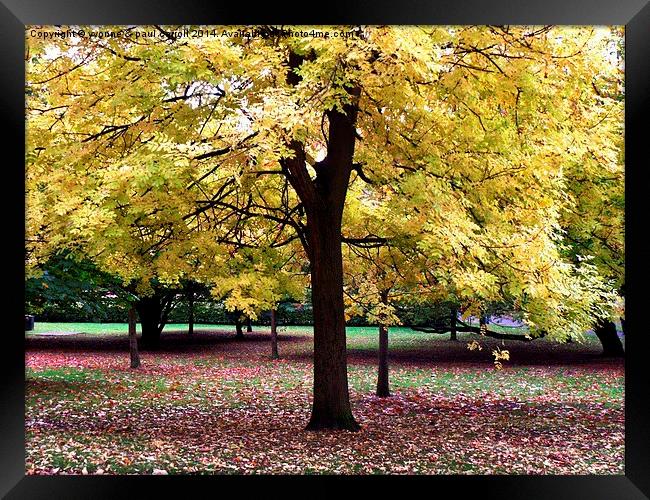  Autumn contrasts Framed Print by yvonne & paul carroll