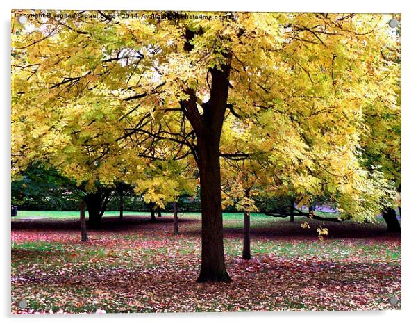  Autumn contrasts Acrylic by yvonne & paul carroll