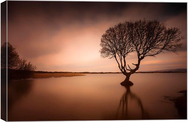  Kenfig pool and tree Canvas Print by Leighton Collins