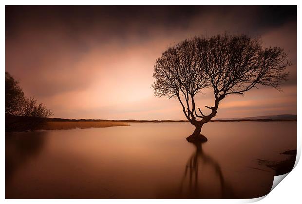  Kenfig pool and tree Print by Leighton Collins