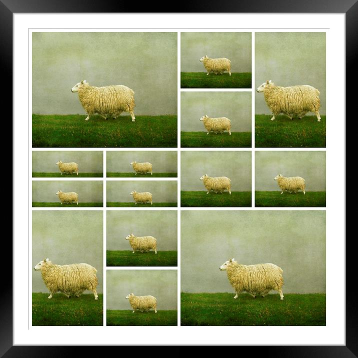  counting sheep Framed Mounted Print by Heather Newton